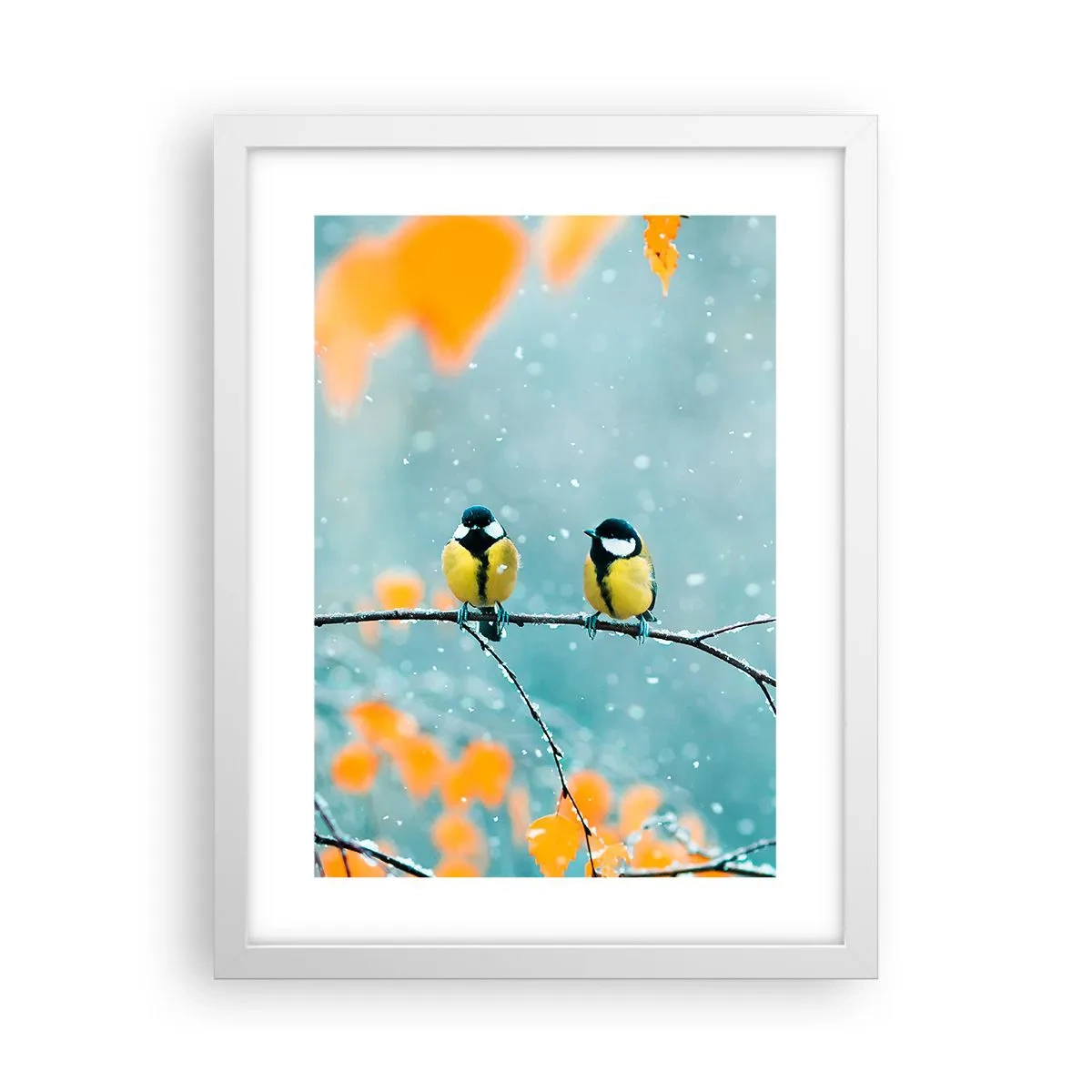 Poster în ramă albă - Bârfele păsărilor - 30x40 cm