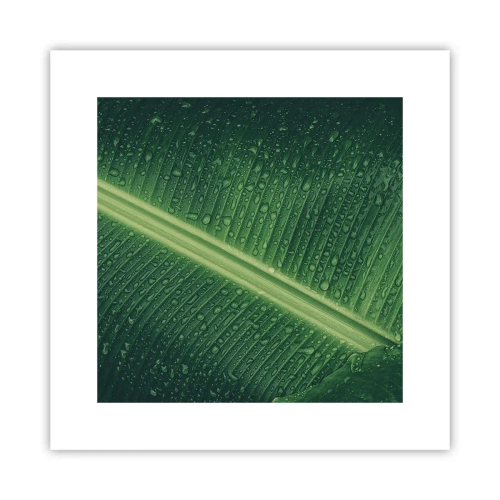 Poster - Structura verdelui - 30x30 cm