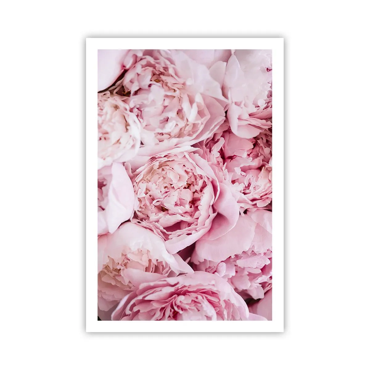 Poster - Îmbrățișate și parfumate - 61x91 cm