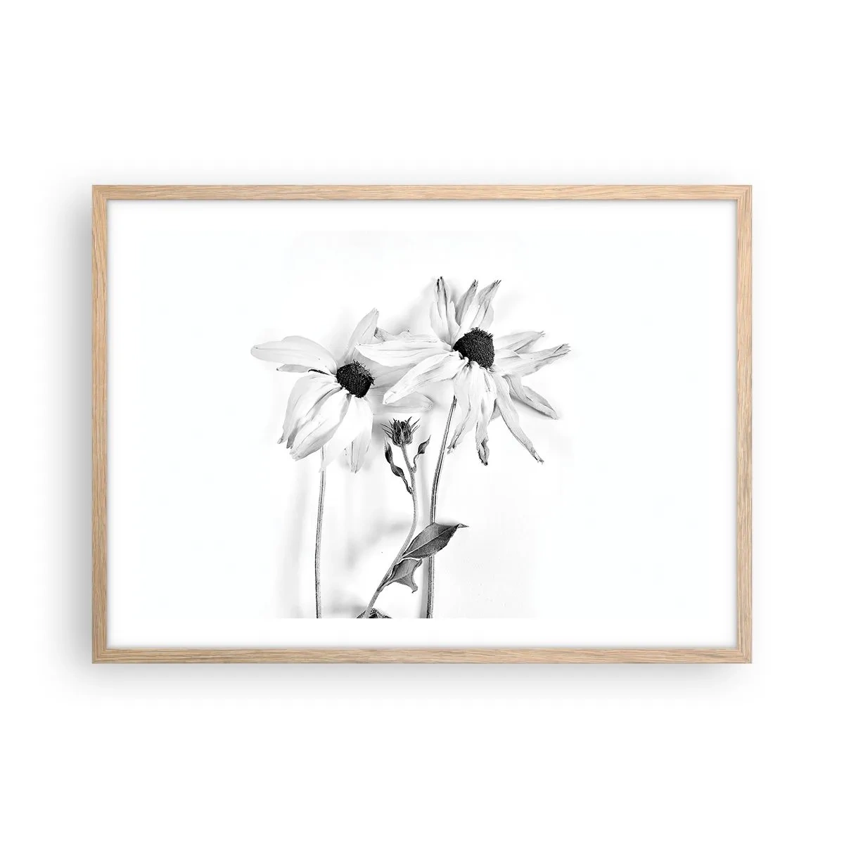 Poster în ramă de stejar deschis - Nimeni nu vrea să fie singur - 70x50 cm