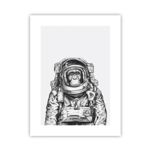 Poster - Evoluție alternativă - 30x40 cm
