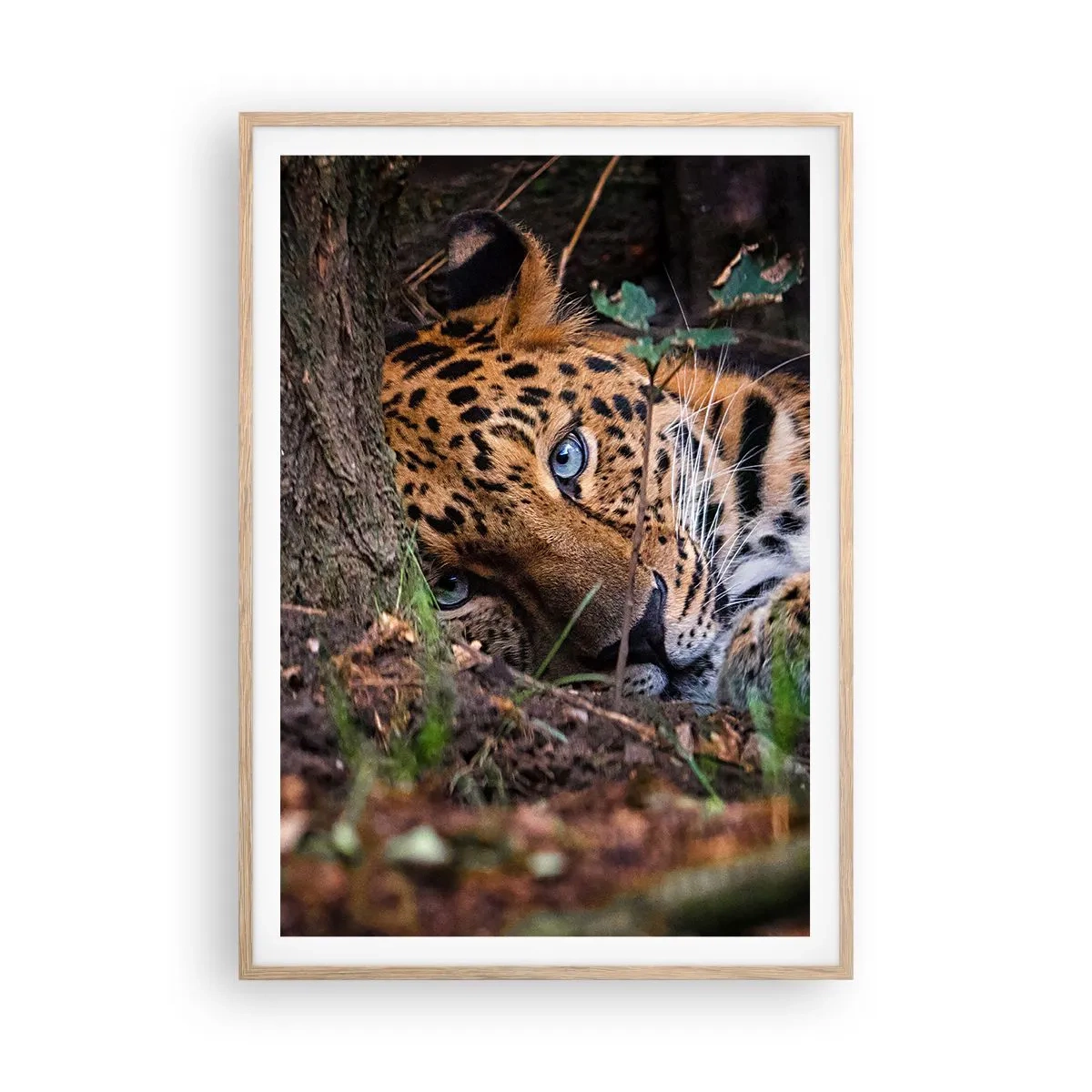 Poster în ramă de stejar deschis - Să ai încredere în mine - 70x100 cm