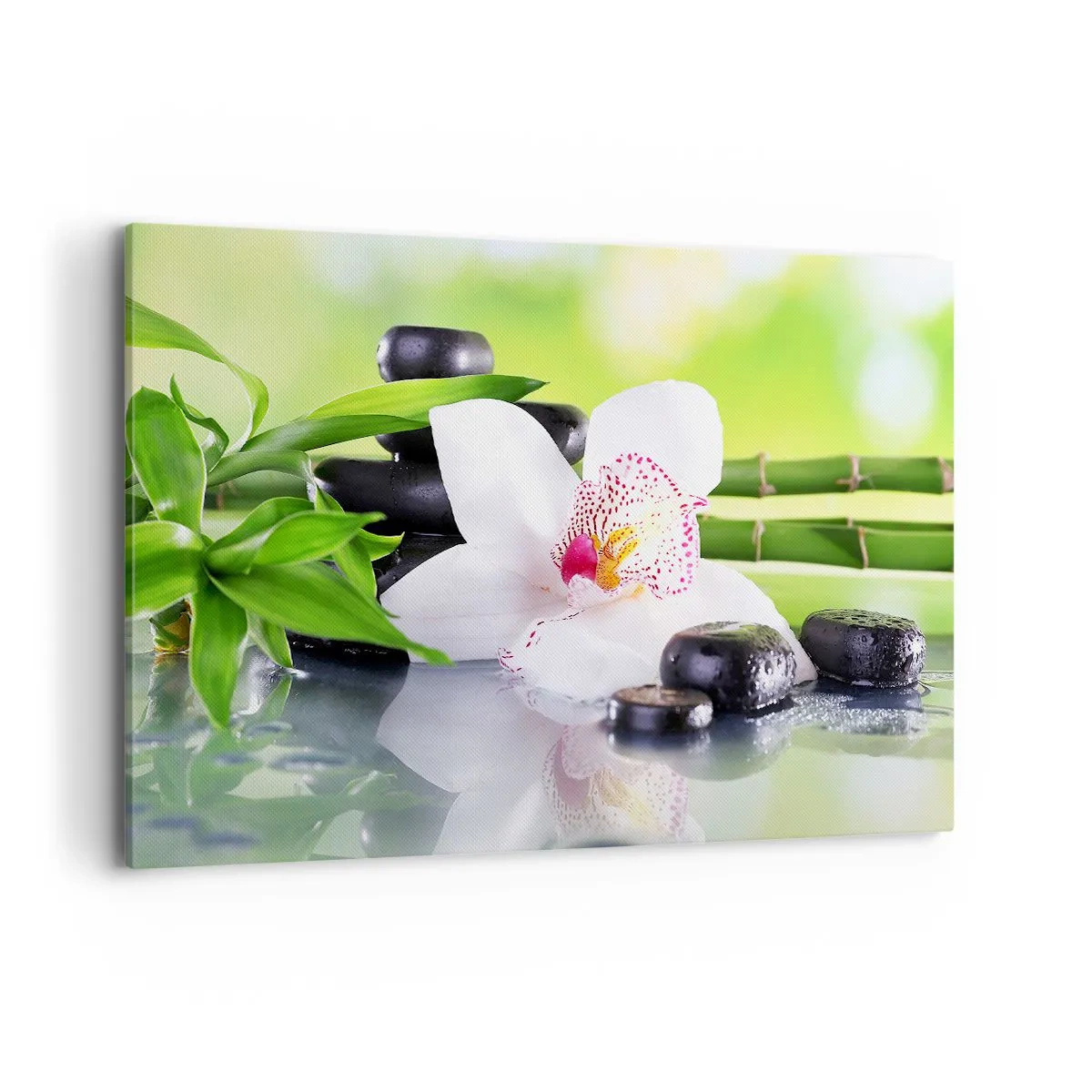 Tablou pe pânză - Prospețime răcoroasă - 100x70 cm