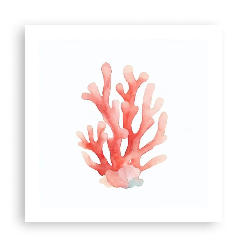 Poster - Culoare de coral - 50x50 cm