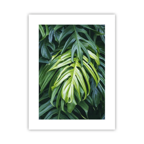 Poster - Scufundă-te în prospețime - 30x40 cm