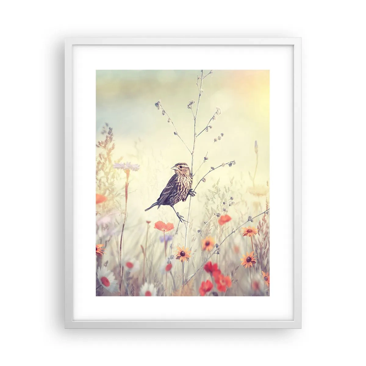 Poster în ramă albă - Portret de pasăre cu o pajiște în fundal - 40x50 cm