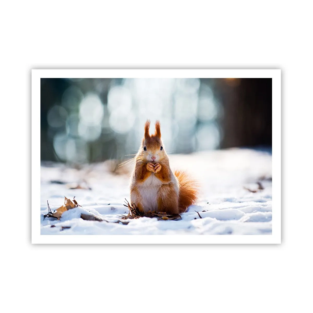 Poster - Și la ce te uiți? - 100x70 cm