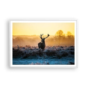 Poster în ramă albă - Încoronat pe domeniul său - 100x70 cm