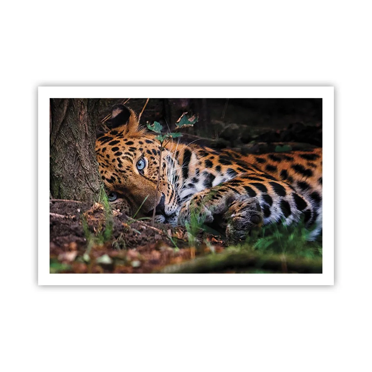 Poster - Să ai încredere în mine - 91x61 cm