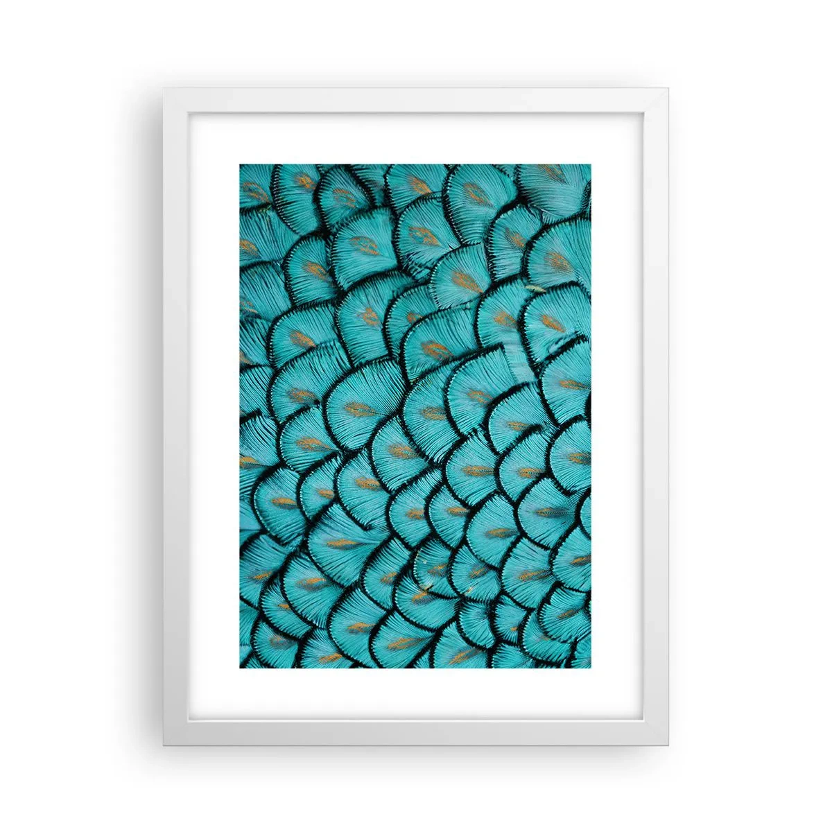 Poster în ramă albă - Marea gală a penelor - 30x40 cm