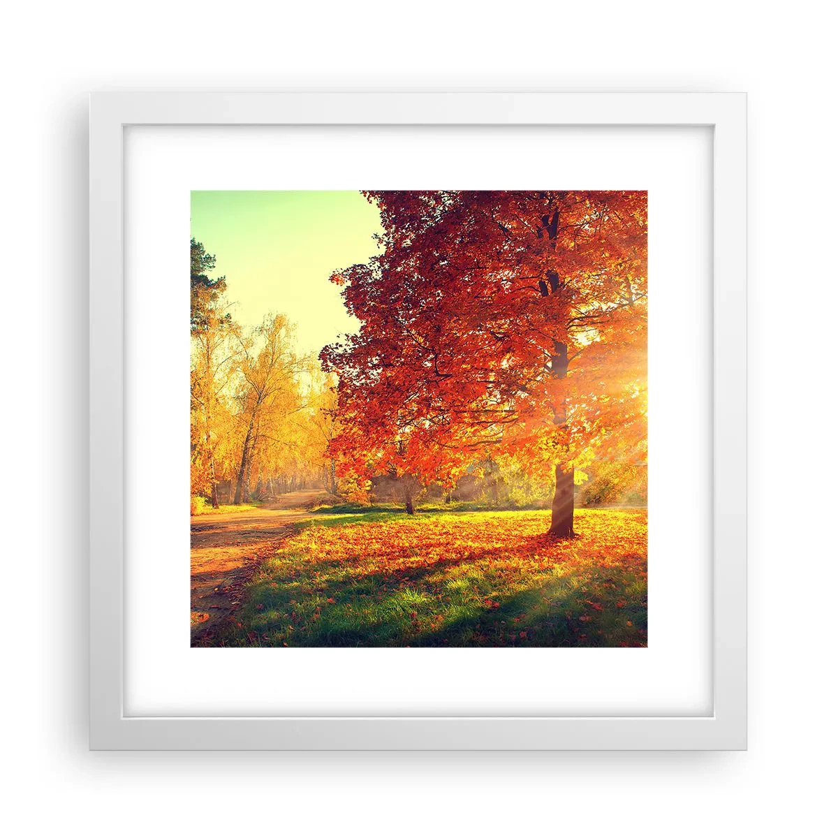 Poster în ramă albă - Roșcatul este frumos - 30x30 cm