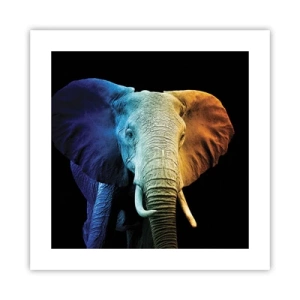 Poster - Excentric, nu ciudat - 40x40 cm