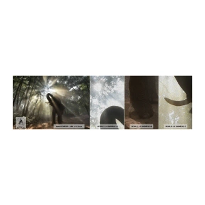 Mostră tapet Premium Sand - Sub o stea norocoasă - Peisaj, Elefant, Junglă - 100x30 cm