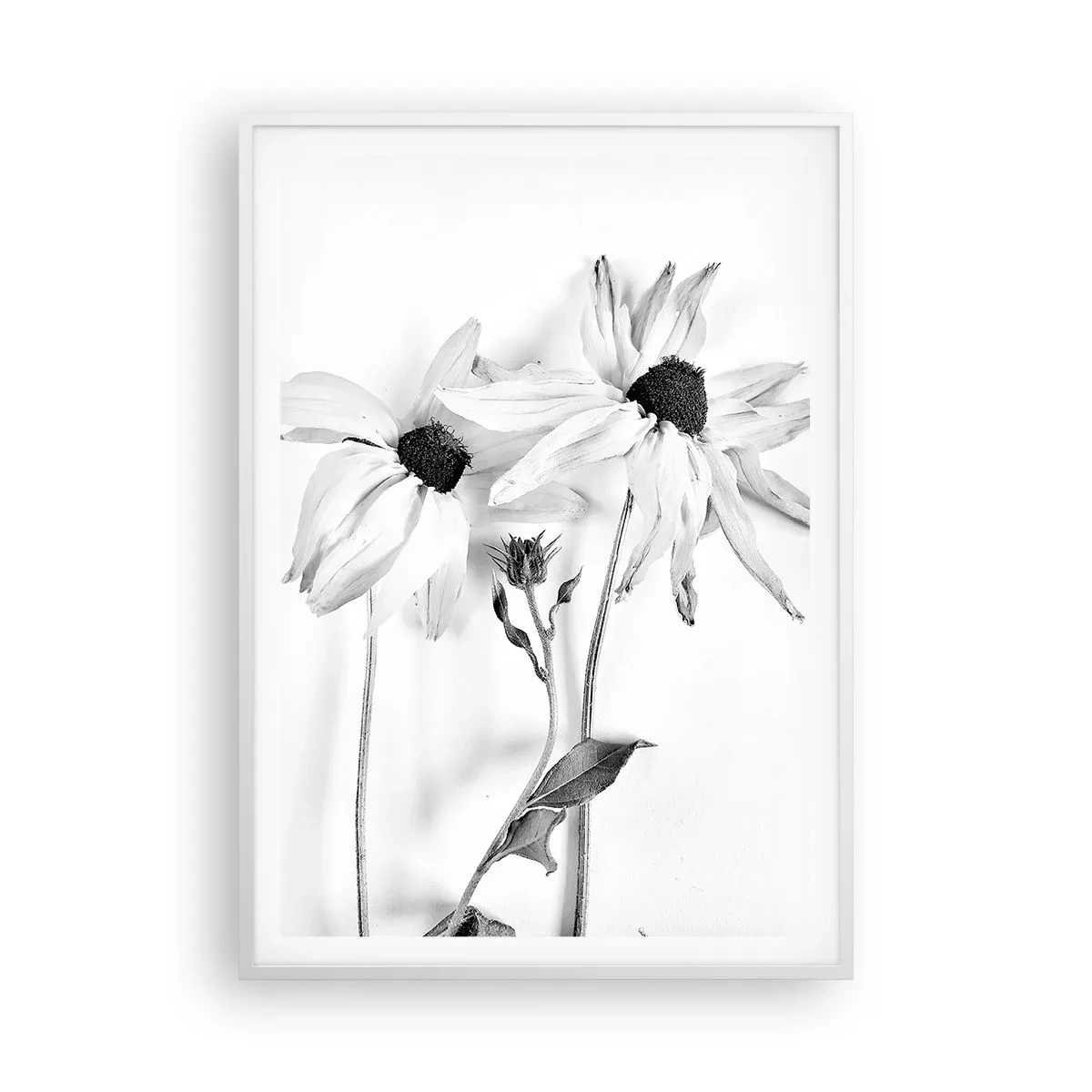 Poster în ramă albă - Nimeni nu vrea să fie singur - 70x100 cm