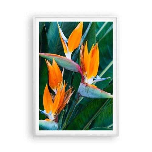 Poster în ramă albă - Este o floare sau o pasăre? - 70x100 cm