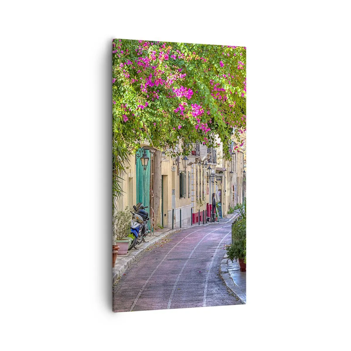 Tablou pe pânză - Alee înfloritoare - 55x100 cm