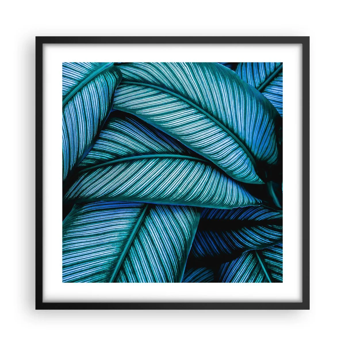 Poster în ramă neagră - Linii de viață - 50x50 cm