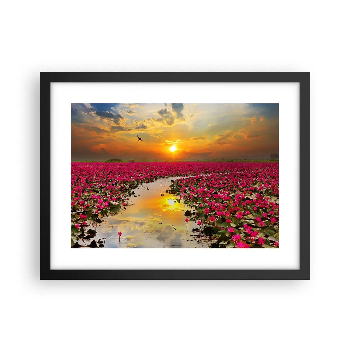 Poster în ramă neagră - Viața secretă a lacului - 40x30 cm