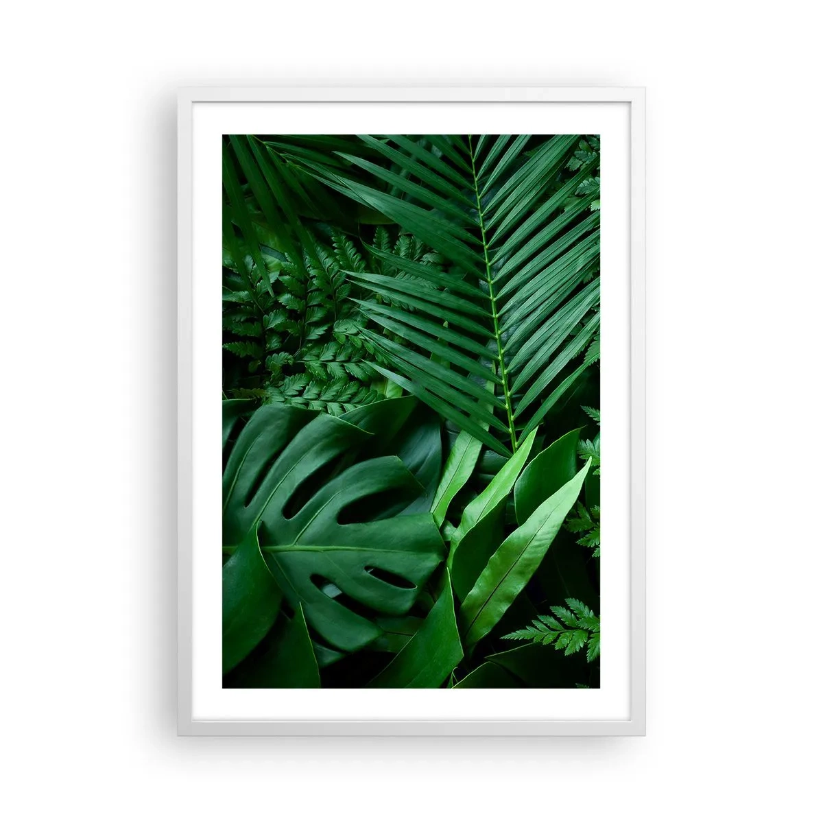 Poster în ramă albă - Înfășurate în verde - 50x70 cm