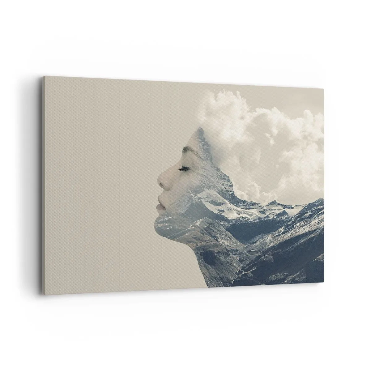 Tablou pe pânză - Frumusețea elementelor - 100x70 cm