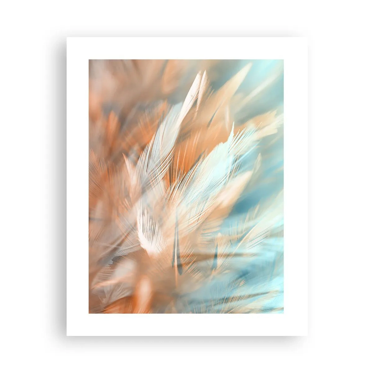 Poster - În țara blândeții - 40x50 cm