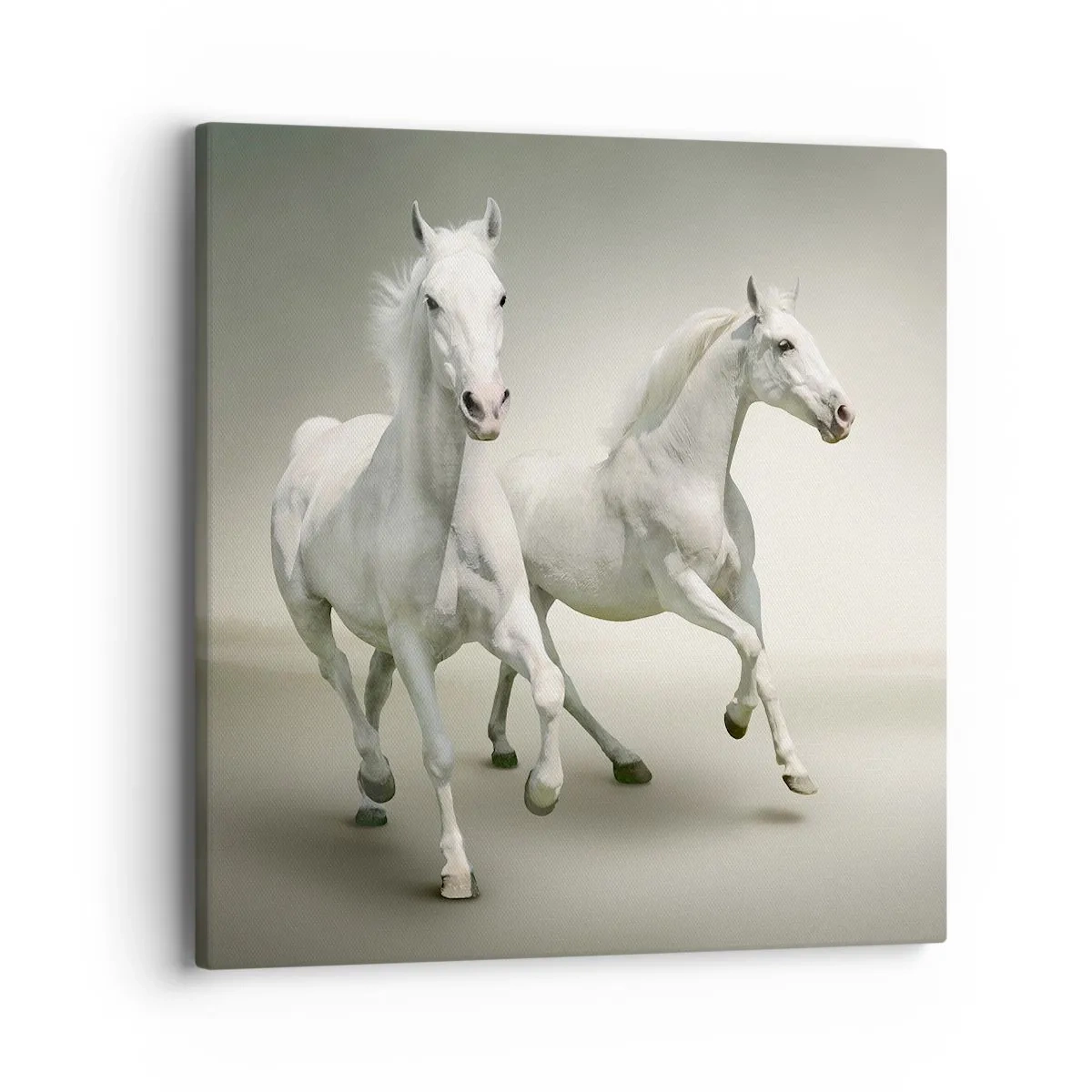 Tablou pe pânză - White power! - 40x40 cm