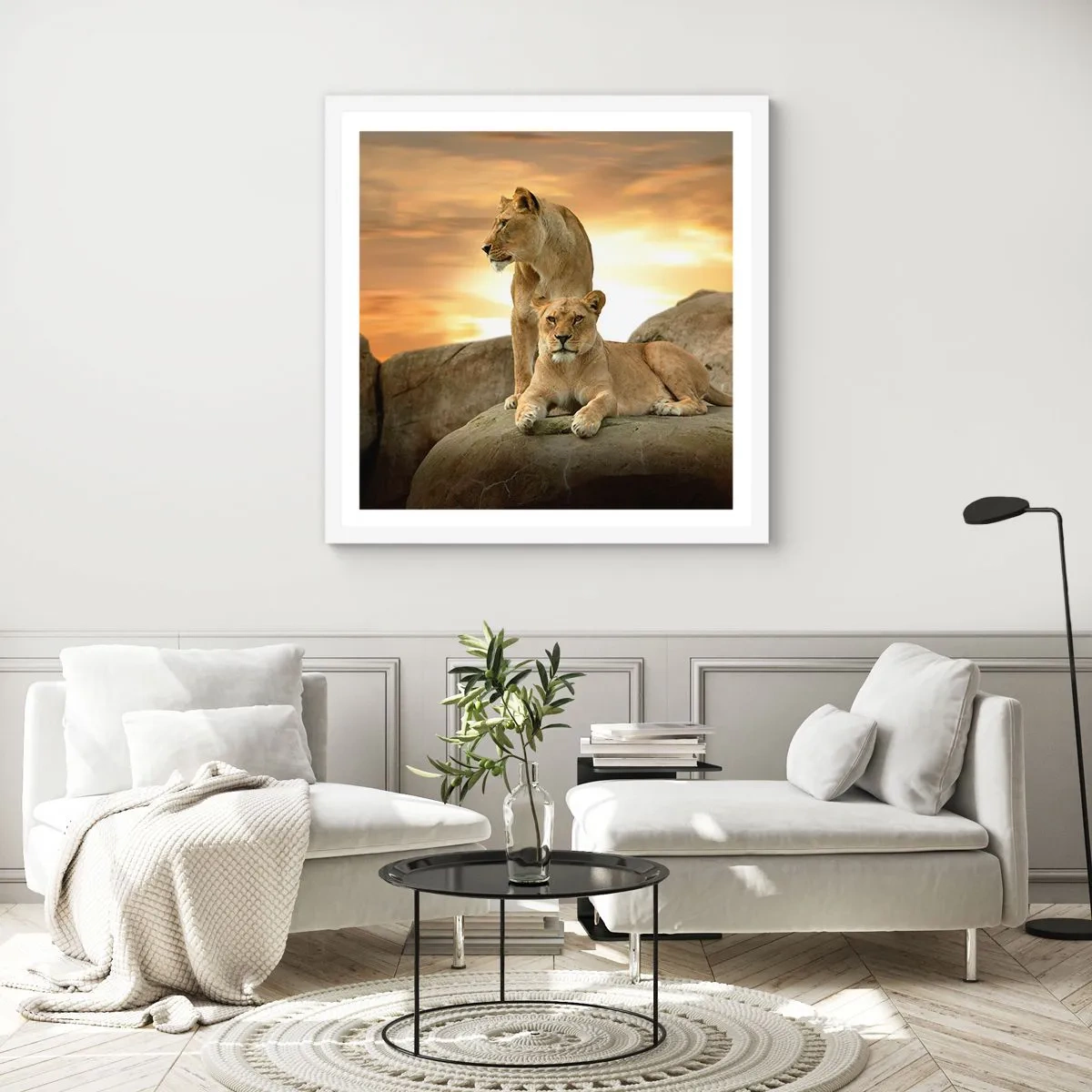 Poster în ramă albă - Maiestate regală - 60x60 cm