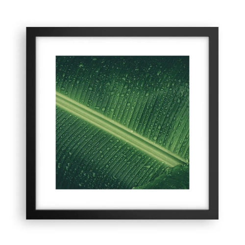 Poster în ramă neagră - Structura verdelui - 30x30 cm