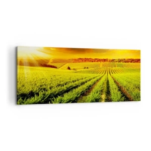 Tablou pe pânză - Sub soarele australian - 100x40 cm