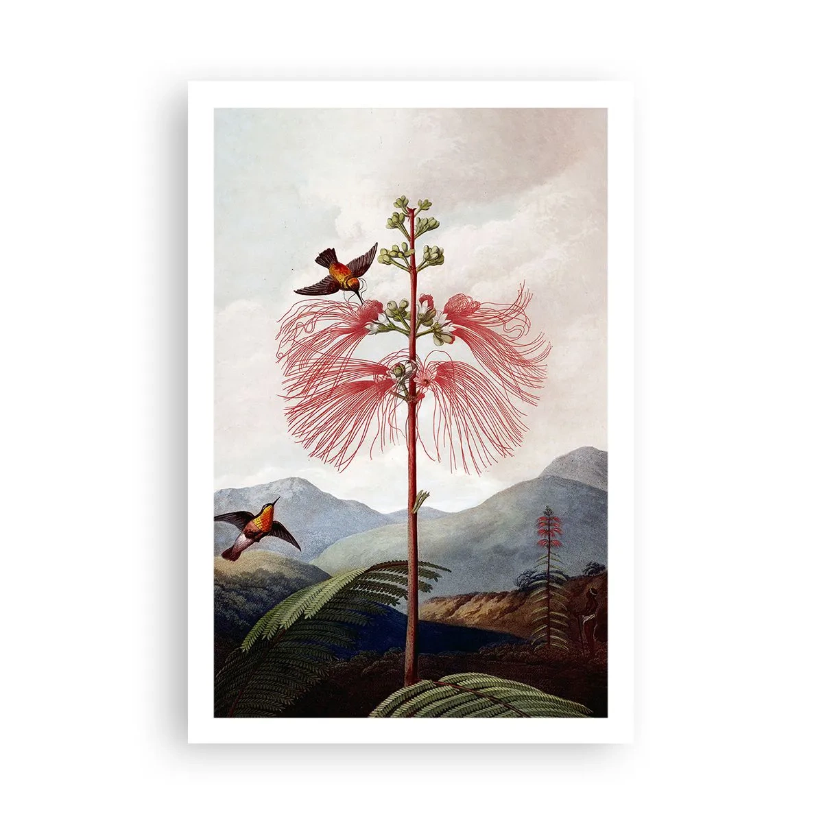 Poster - Într-un paradis tropical - 61x91 cm