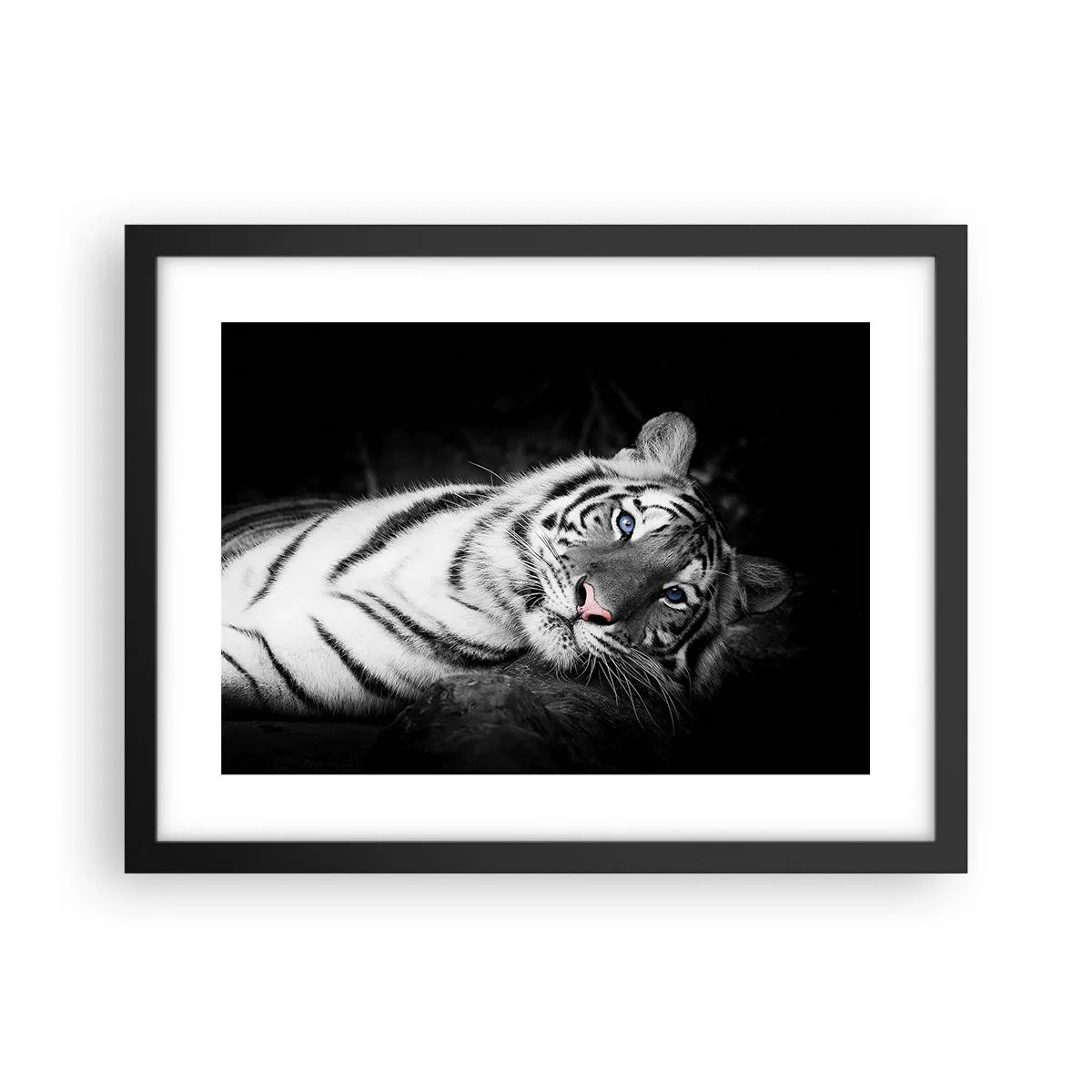 Poster în ramă neagră - Sălbăticie și pace - 40x30 cm