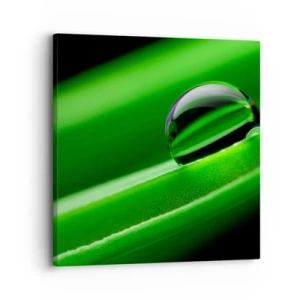 Tablou pe pânză - Viața de aproape - 30x30 cm