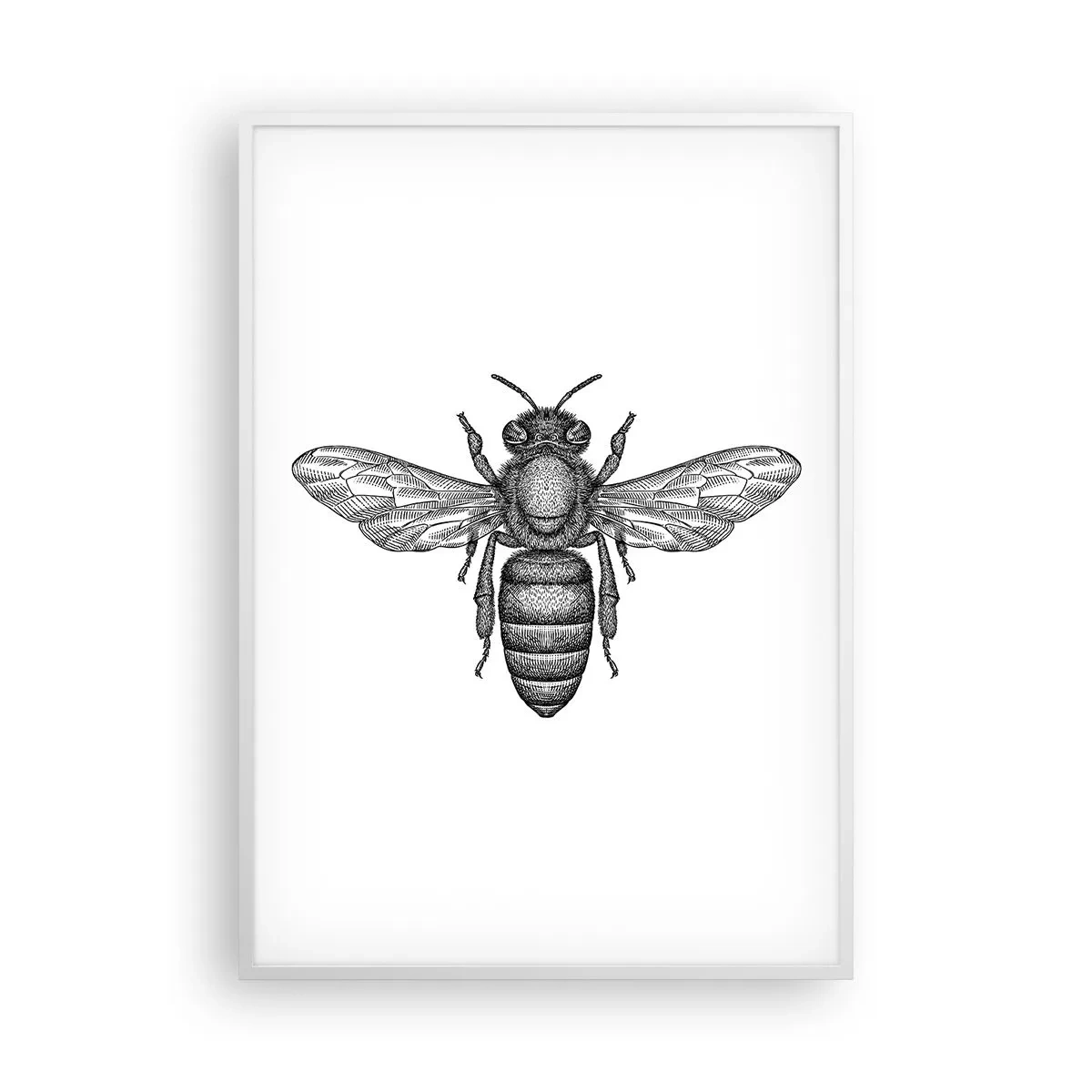 Poster în ramă albă - Portret de insectă - 70x100 cm