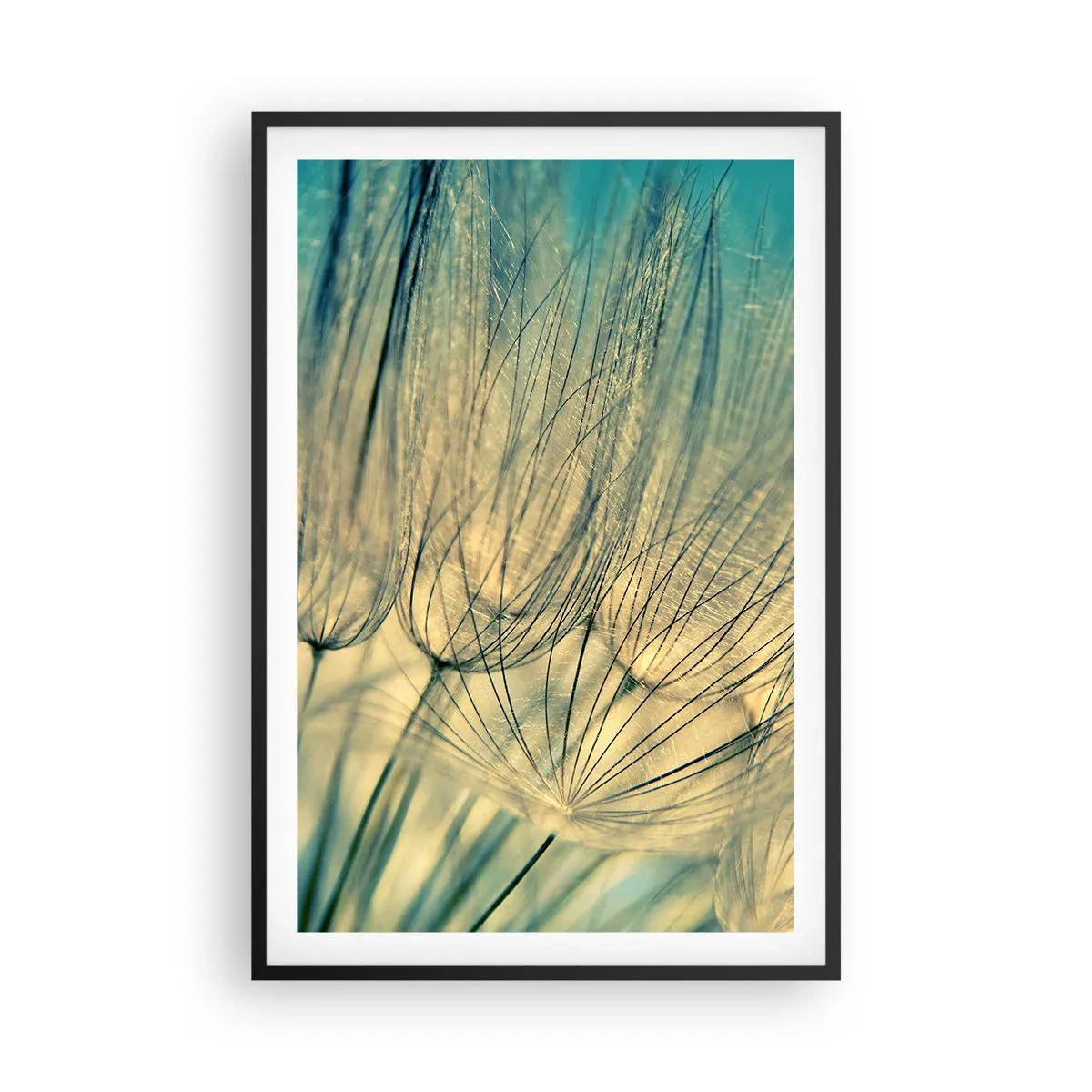 Poster în ramă neagră - Așteptând vântul - 61x91 cm