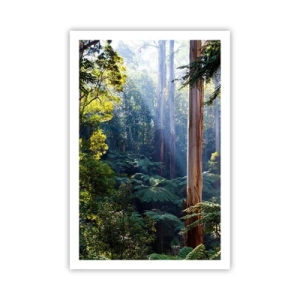 Poster - O poveste din pădure - 61x91 cm