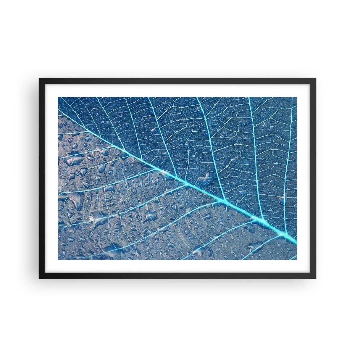 Poster în ramă neagră - Viața în albastru - 70x50 cm