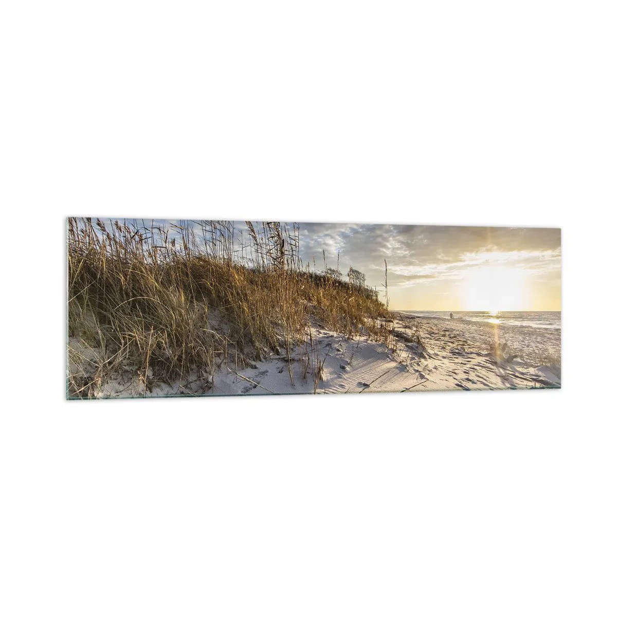 Tablou pe sticlă - Invitație la o plimbare - 160x50 cm