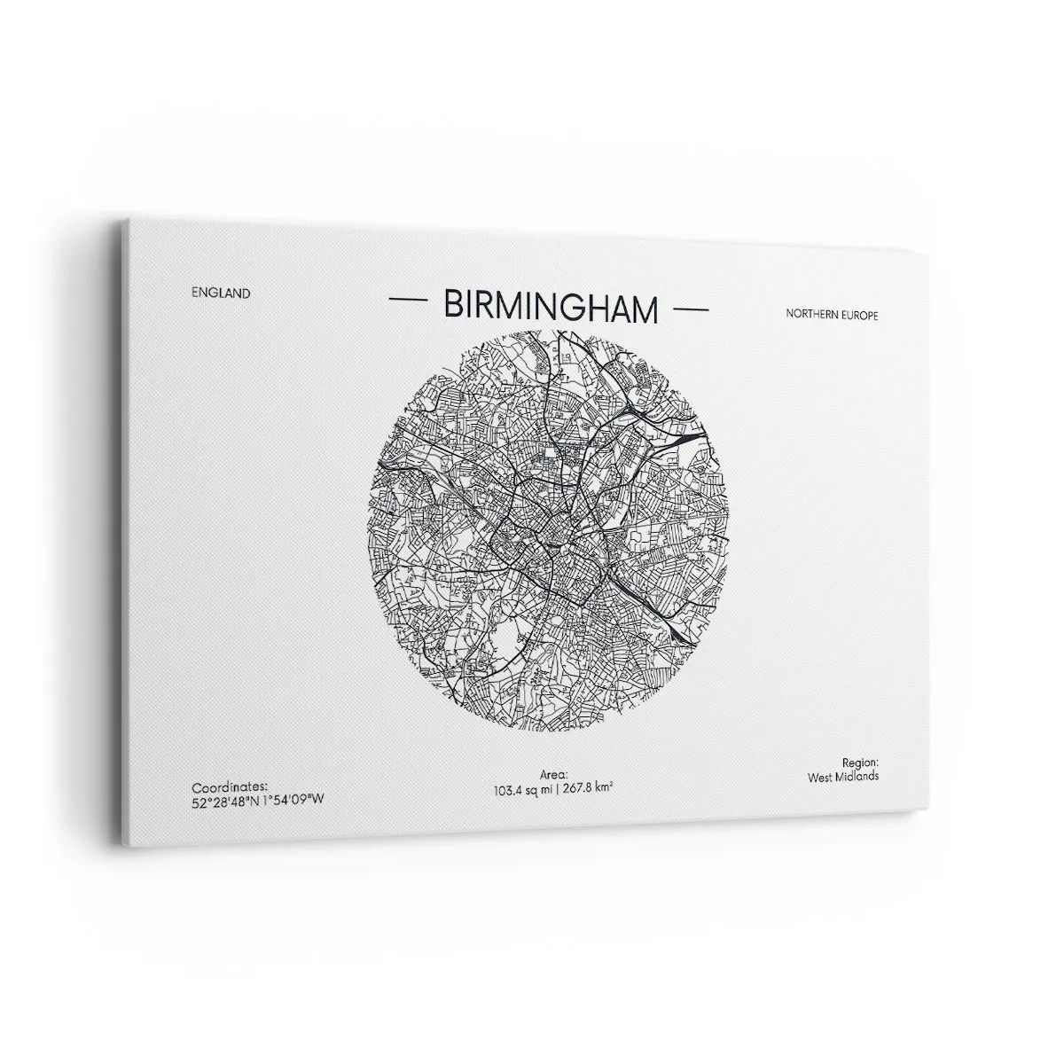 Tablou pe pânză - Anatomia Birmingham - 120x80 cm