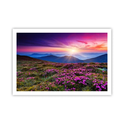 Poster - Ierburile proaspete miroseau puternic - 91x61 cm