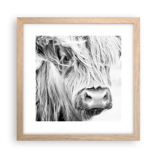Poster în ramă de stejar deschis - Sălbăticie scoțiană - 30x30 cm