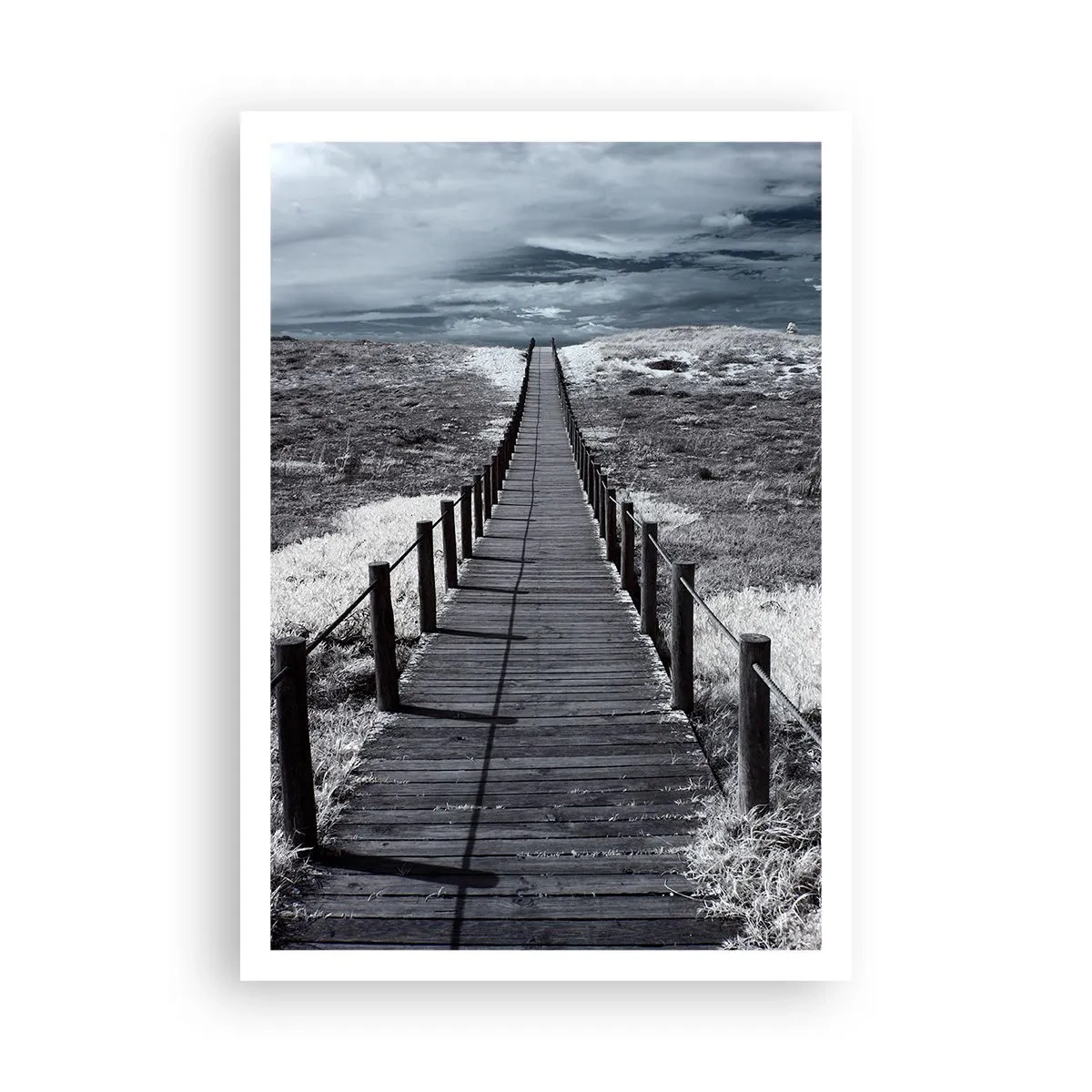 Poster - Spre țărm - 70x100 cm