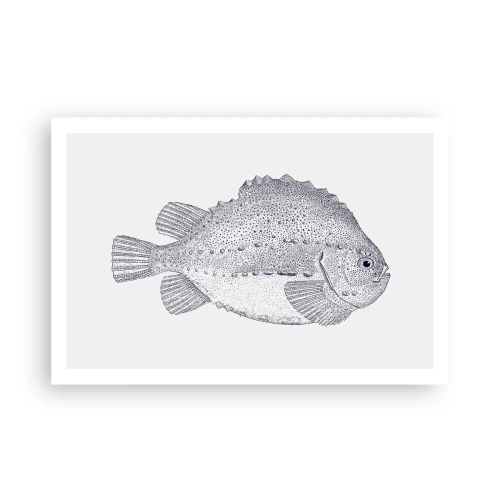 Poster - Pentru albumul naturalistului - 91x61 cm