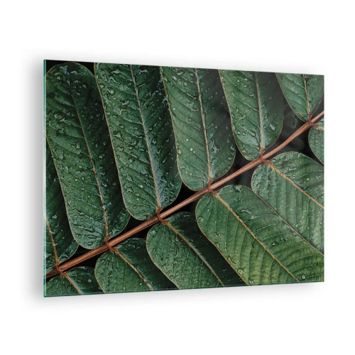 Tablou pe sticlă - Prim-plan cu frunze verzi cu picături de apă - 70x50cm - Într-un ritm verde - Decorațiune modernă pentru perete pentru living și dormitor ARTTOR