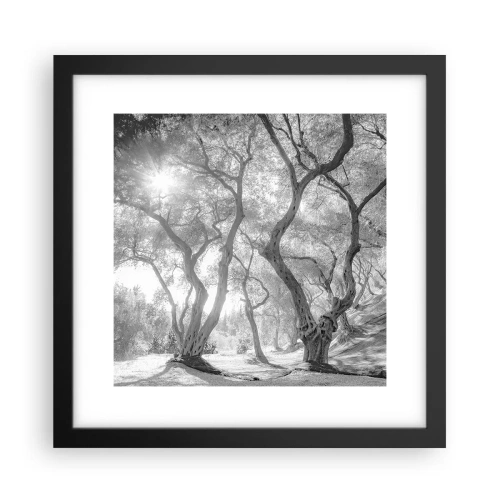 Poster în ramă neagră - Într-o livadă de măslini - 30x30 cm