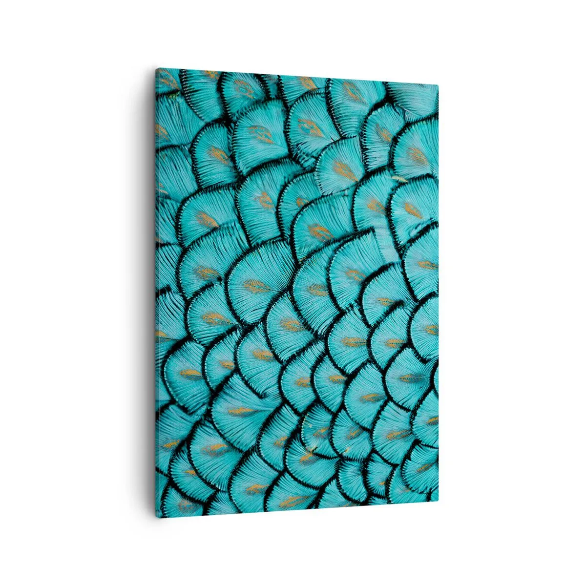 Tablou pe pânză - Marea gală a penelor - 50x70 cm