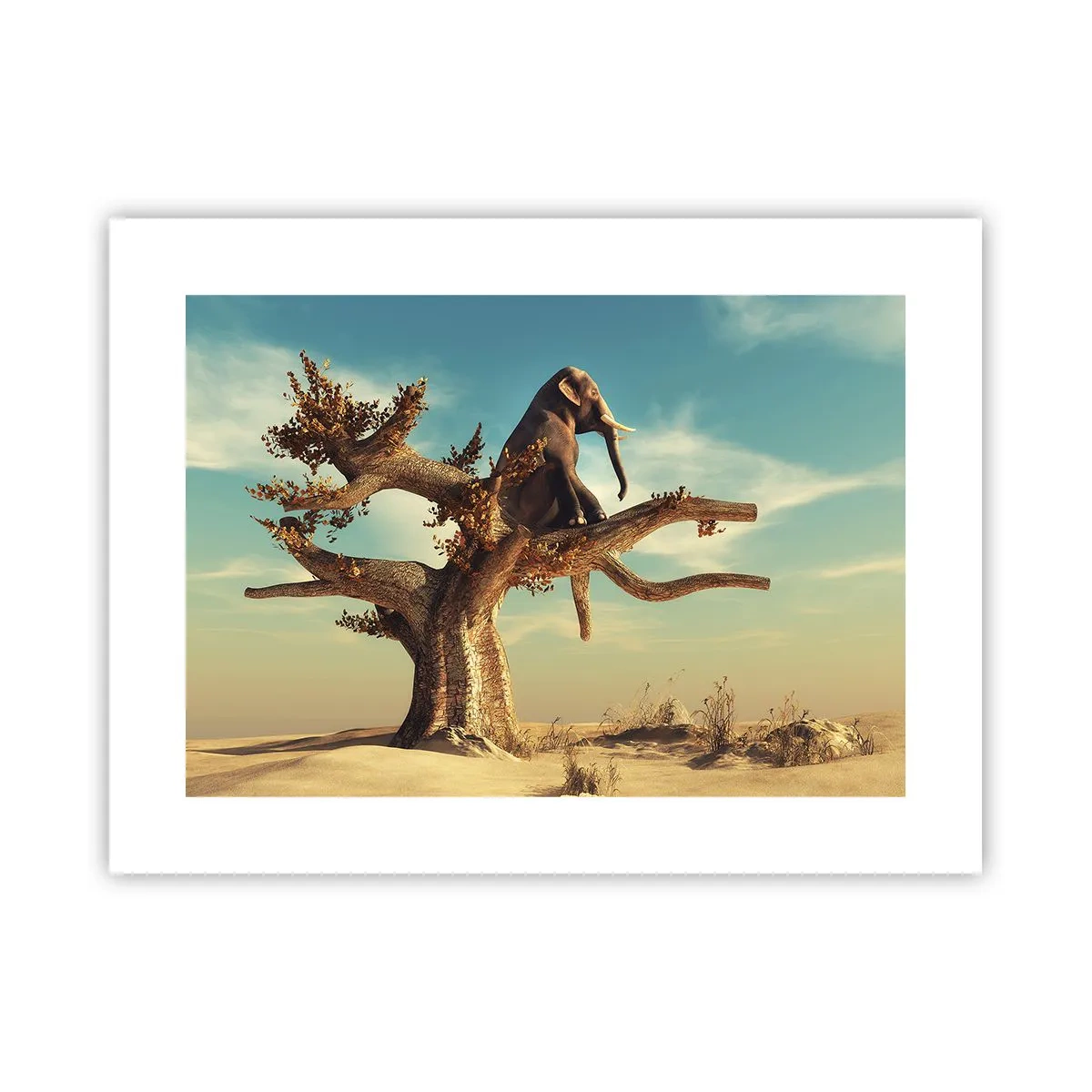 Poster - Un nou punct de vedere - 40x30 cm