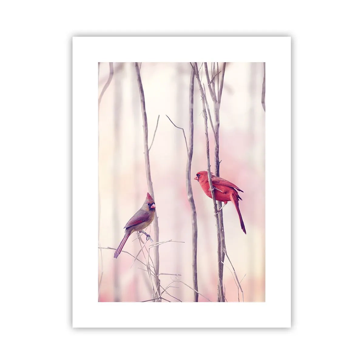 Poster - O poveste din Pădurea Roz - 30x40 cm