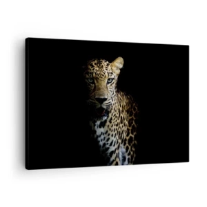 Tablou pe pânză Canvas - Un leopard pe un fundal întunecat cu o privire intensă - 70x50cm - Frumusețe întunecată - Decorațiune modernă pentru perete pentru living și dormitor ARTTOR
