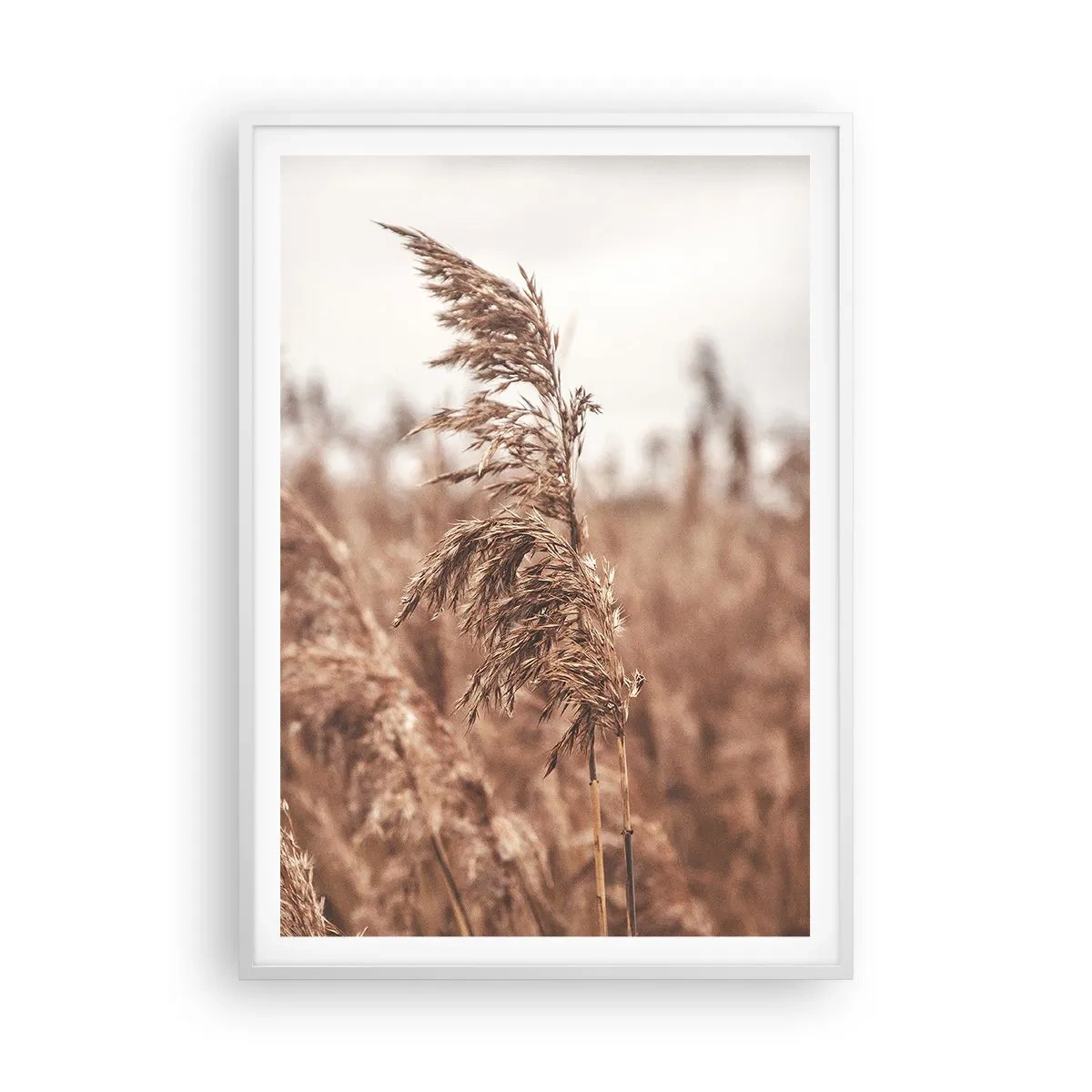 Poster în ramă albă - Toamna pe câmpuri - 70x100 cm