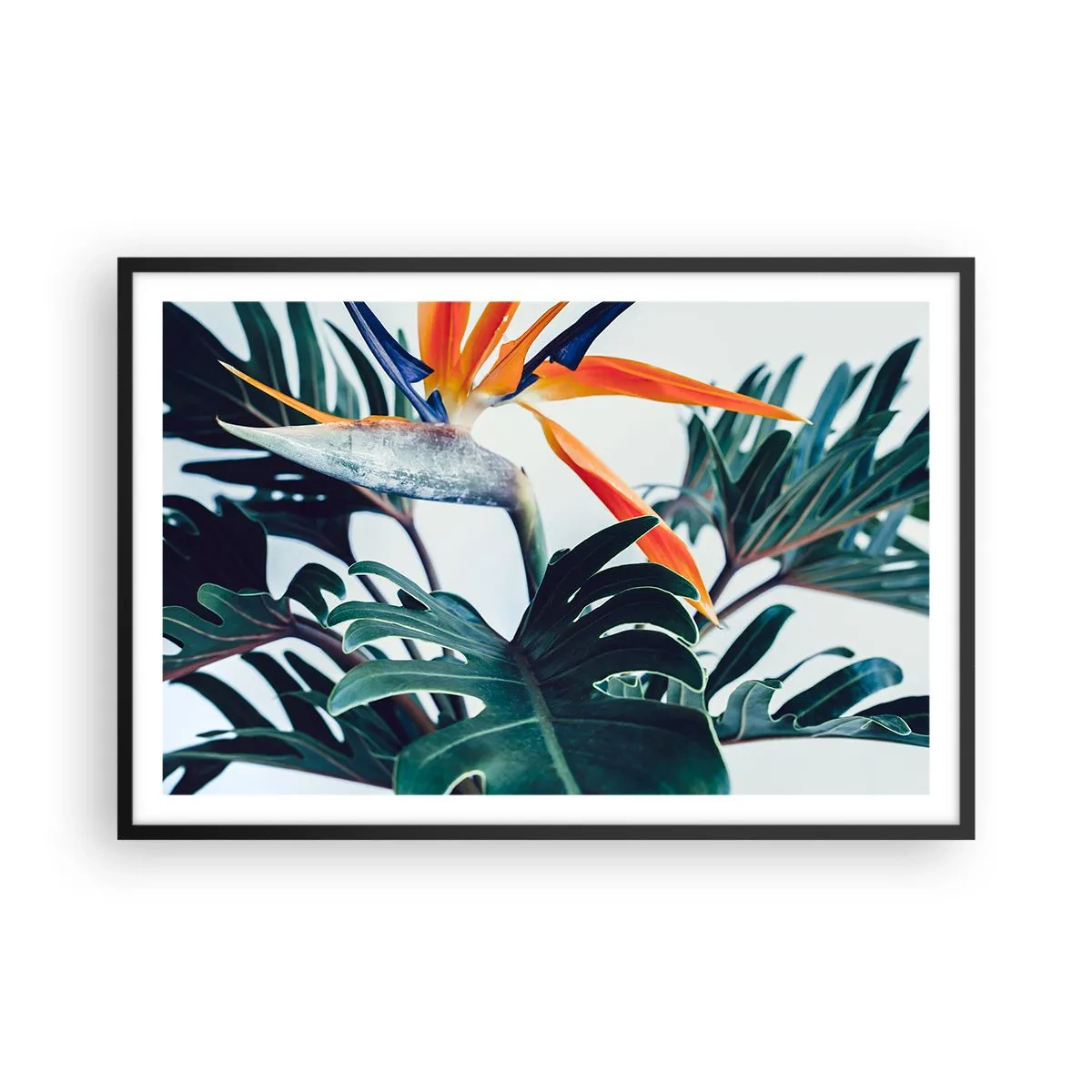 Poster în ramă neagră - Tufiș sau pasăre? - 91x61 cm